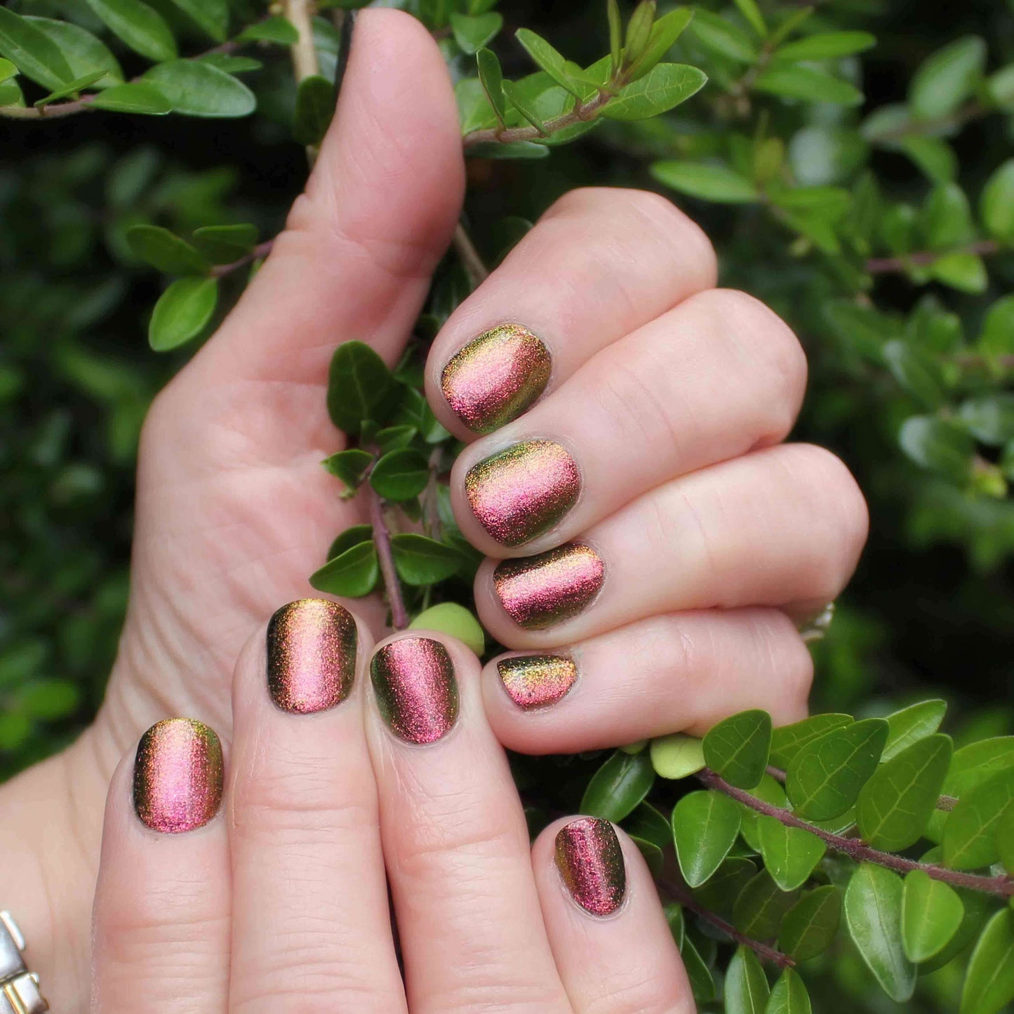 0245 Venus - BIOGEL BIOGEL BIOGEL Gelsystem Hergestellt in SüdafrikaBIOGEL by Bio Sculpture Bio Sculpture