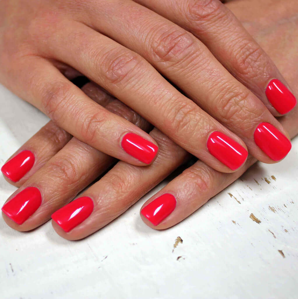 0095 Spring Splash - BIOGEL BIOGEL BIOGEL Gelsystem Hergestellt in SüdafrikaBIOGEL by Bio Sculpture Bio Sculpture