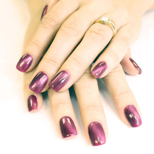 0063 Édith - EVO EVO EVO Gellack Hergestellt in Südafrika.EVO by Bio Sculpture Bio Sculpture