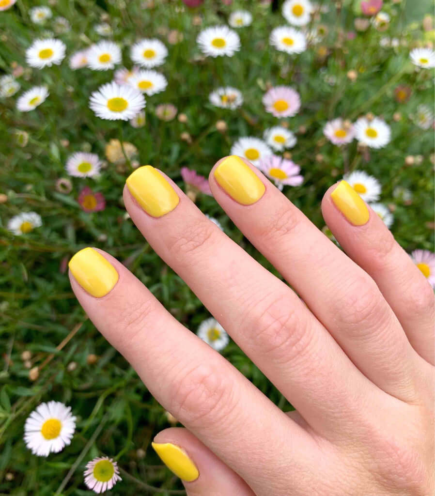2030 Daffodil - BIOGEL BIOGEL BIOGEL Gelsystem Hergestellt in SüdafrikaBIOGEL by Bio Sculpture Bio Sculpture