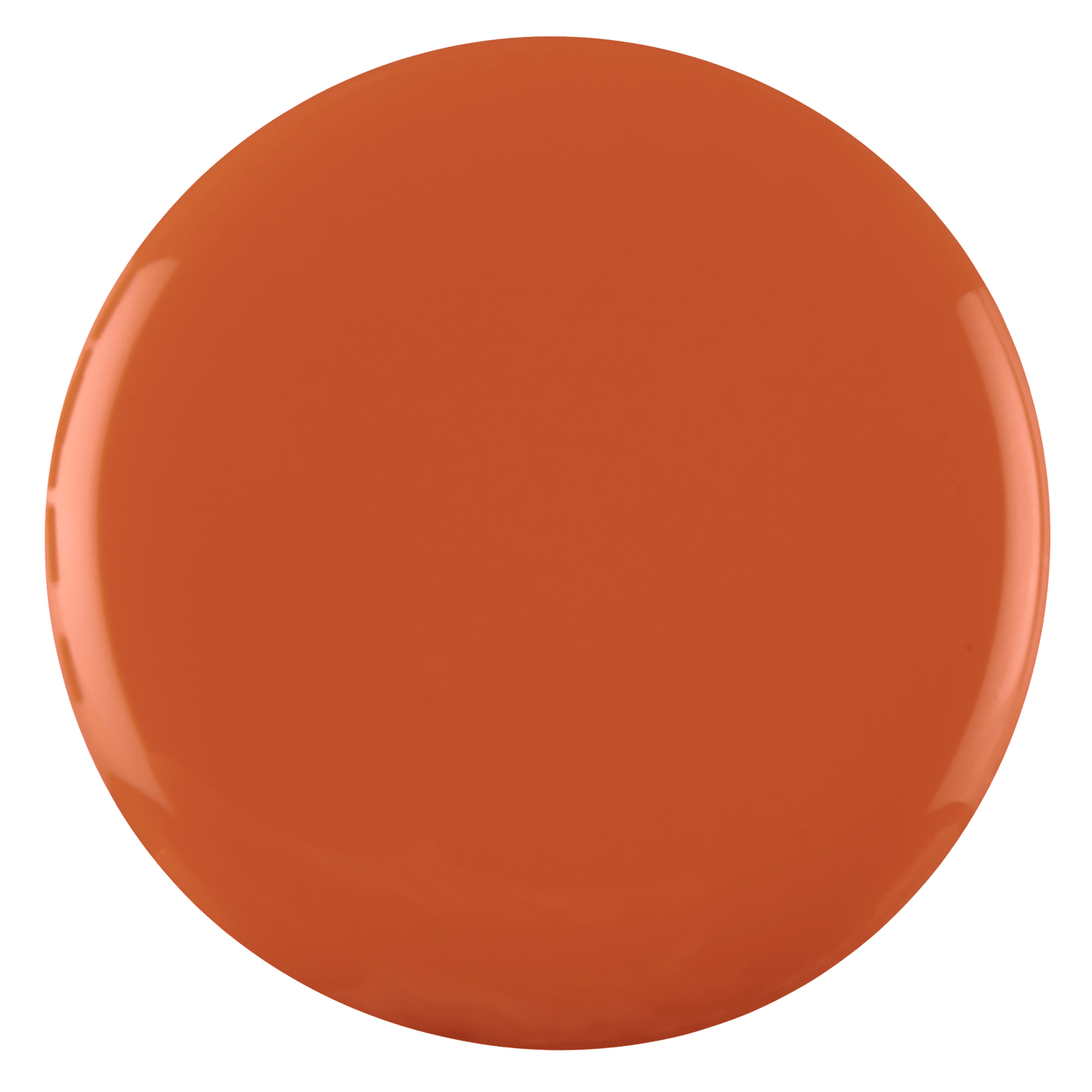 0290 Island Clay - BIOGEL BIOGEL BIOGEL Gelsystem Hergestellt in SüdafrikaBIOGEL by Bio Sculpture Bio Sculpture