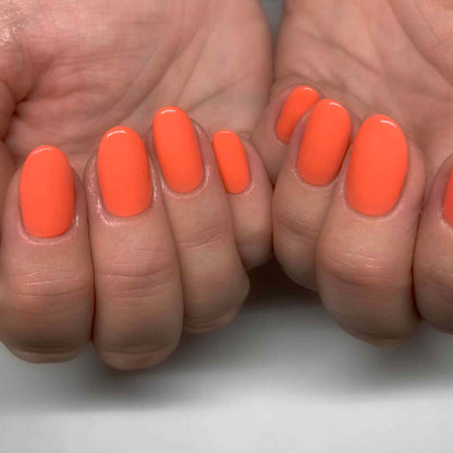 2002 Coral - BIOGEL BIOGEL BIOGEL Gelsystem Hergestellt in SüdafrikaBIOGEL by Bio Sculpture Bio Sculpture